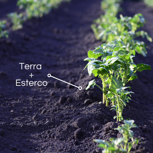 Esterco de Curral 2L Nova Tropical
