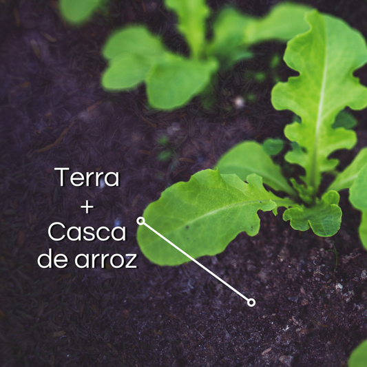 Casca de Arroz Carbonizado 400g Nova Tropical