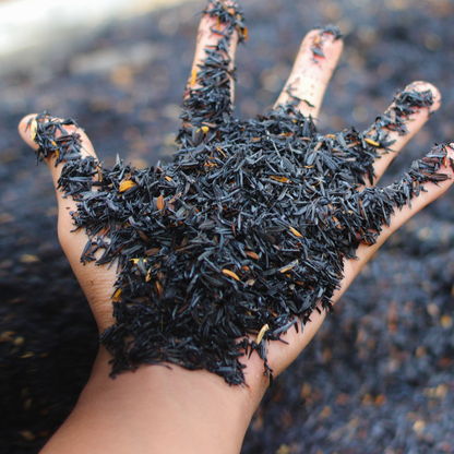 Casca de Arroz Carbonizado 400g Nova Tropical