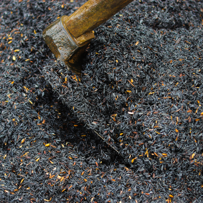 Casca de Arroz Carbonizado 400g Nova Tropical