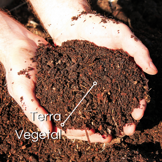 Terra Vegetal Preparadinha Nova Tropical