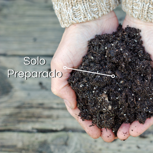 Solo Preparado 2kg Nova Tropical