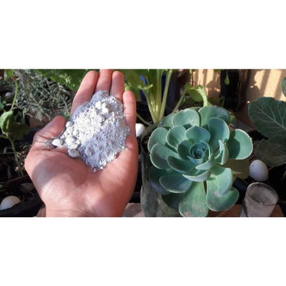 Farinha de Osso Fertilizante 500g Dimy