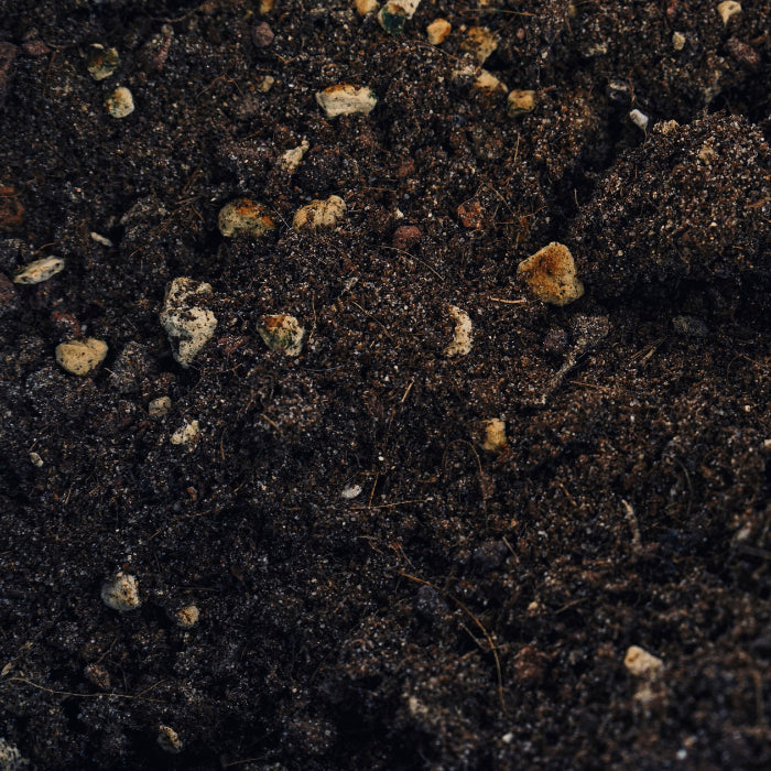 Composto Orgânico para Suculentas 1kg Nova Tropical